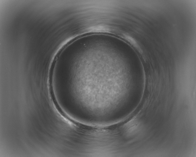 X0000062611331200512281453