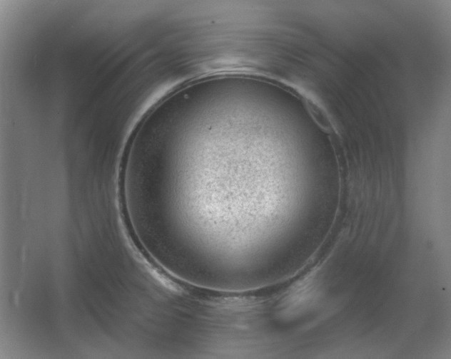 X0000062611333200512281453