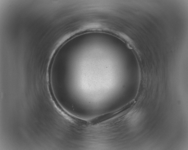 X0000062611335200512281453