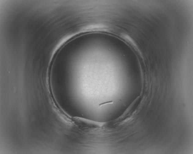 X0000062611336200512281453