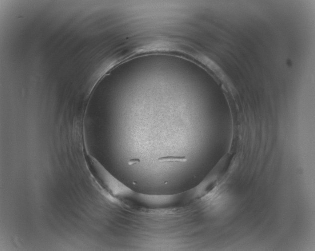 X0000062611337200512281453