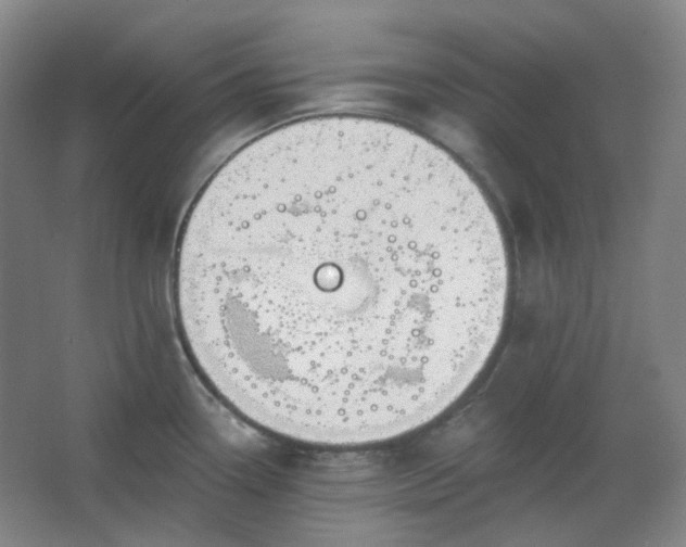 X0000062611338200512281453