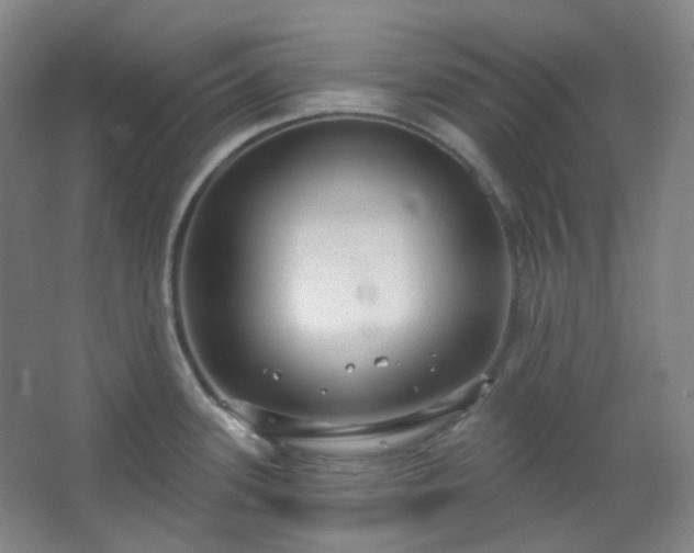 X0000062611339200512281453