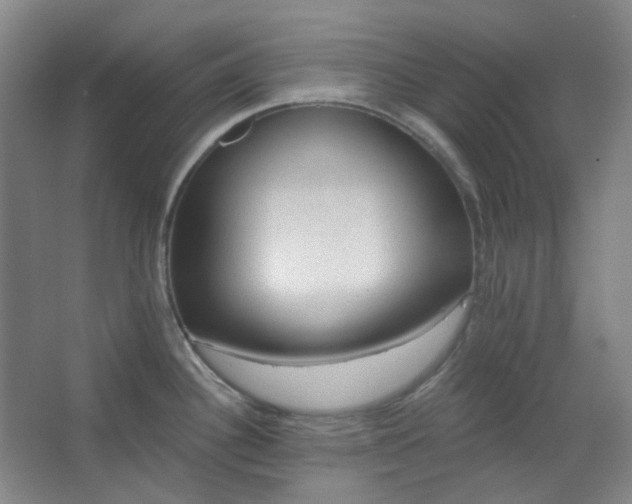 X0000062611340200512281453