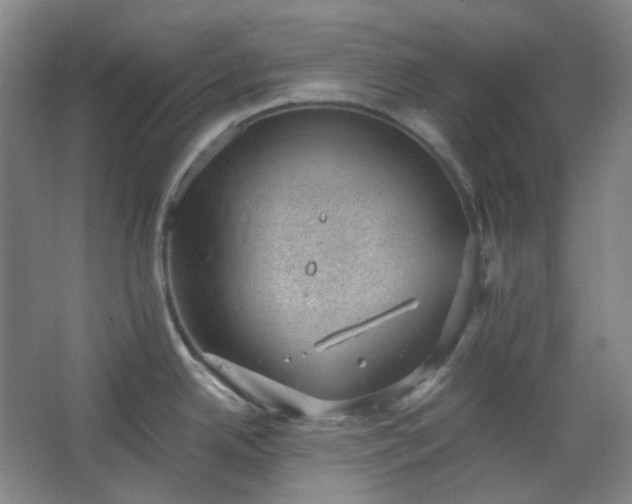 X0000062611342200512281454