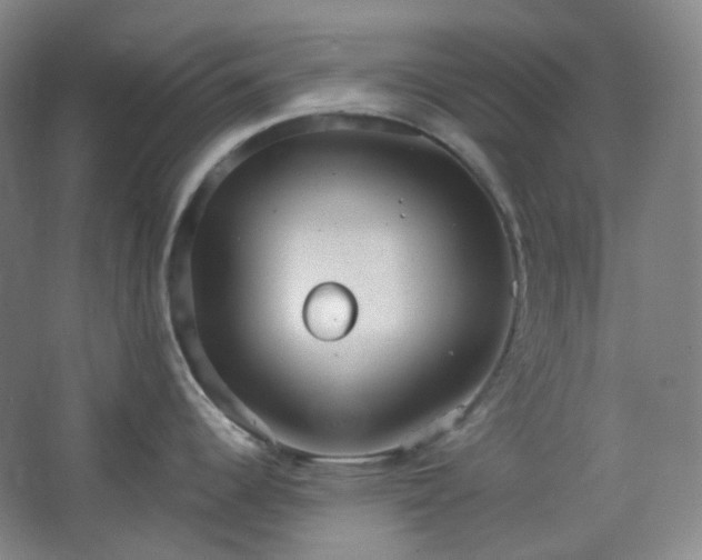 X0000062611344200512281454