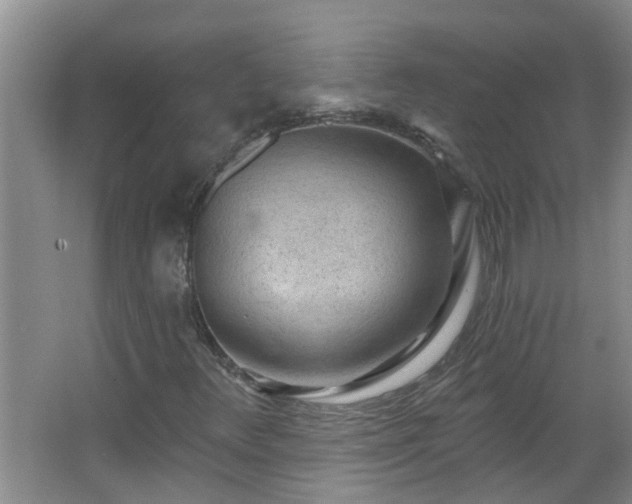 X0000062611348200512281453