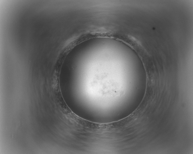 X0000062611350200512281453