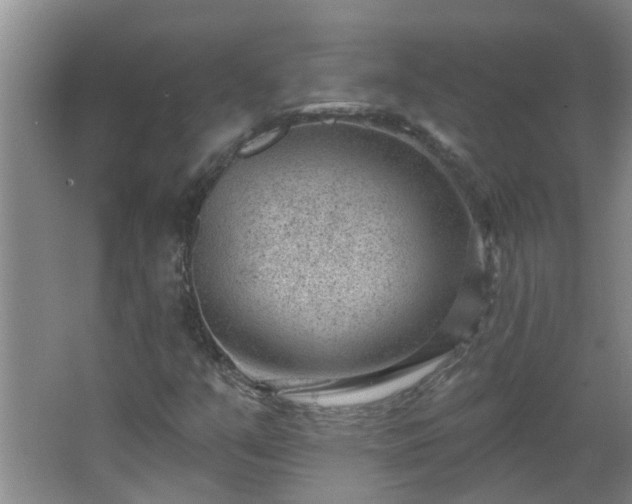 X0000062611351200512281453