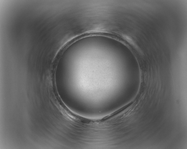 X0000062611356200512281453