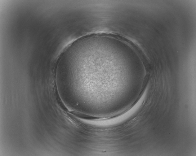 X0000062611359200512281453