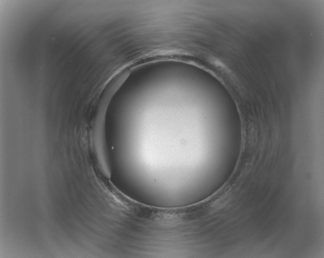 X0000062611361200512281452