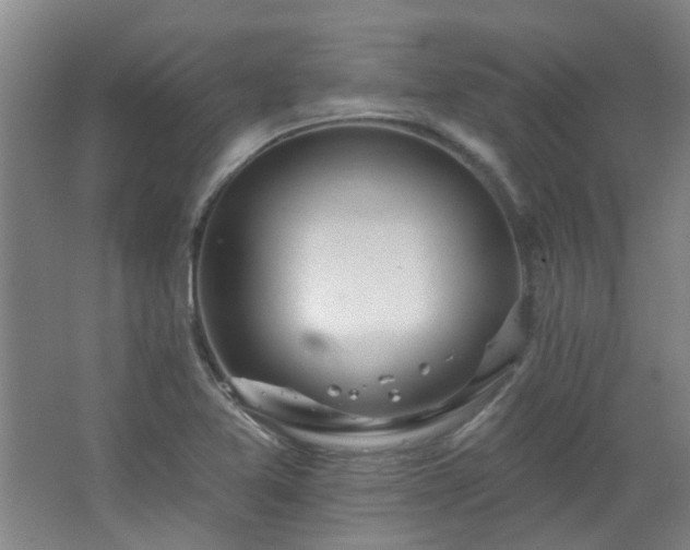 X0000062611365200512281452