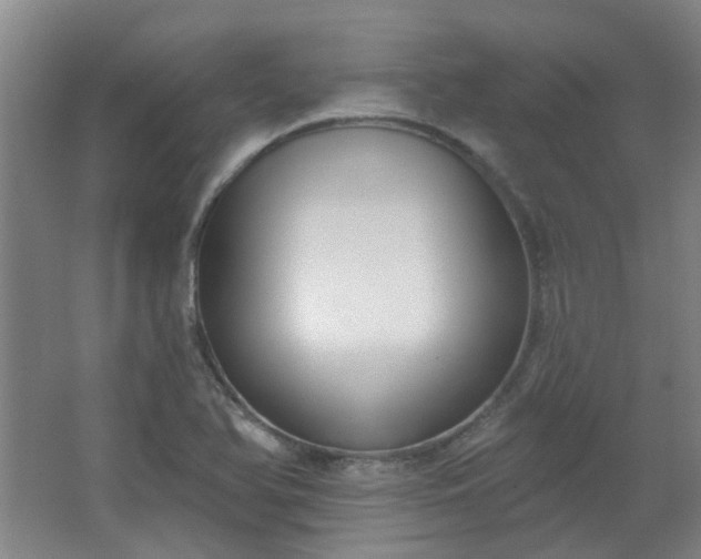 X0000062611366200512281452