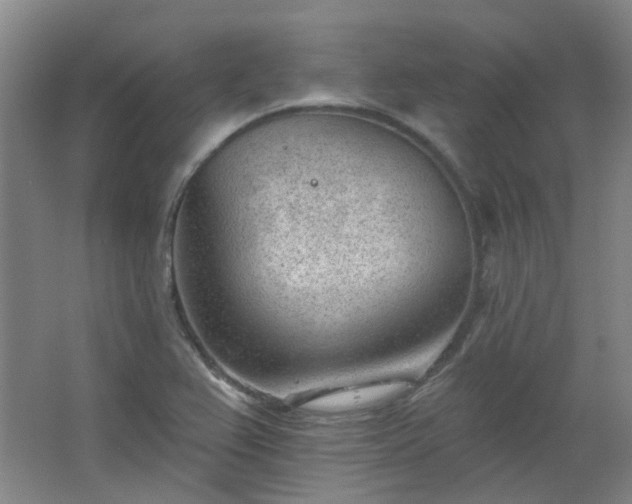 X0000062611367200512281452