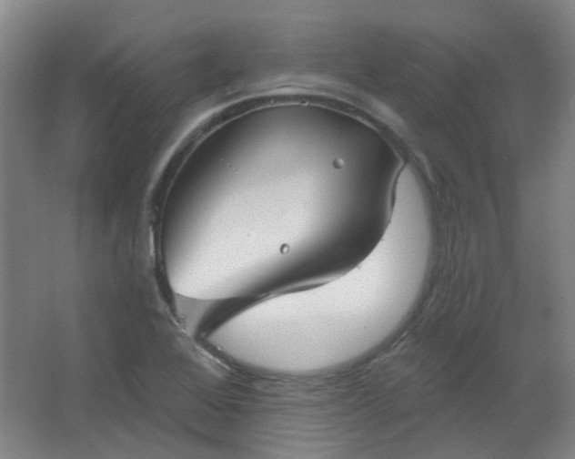 X0000062611368200512281452