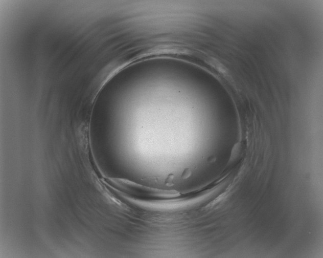 X0000062611369200512281452