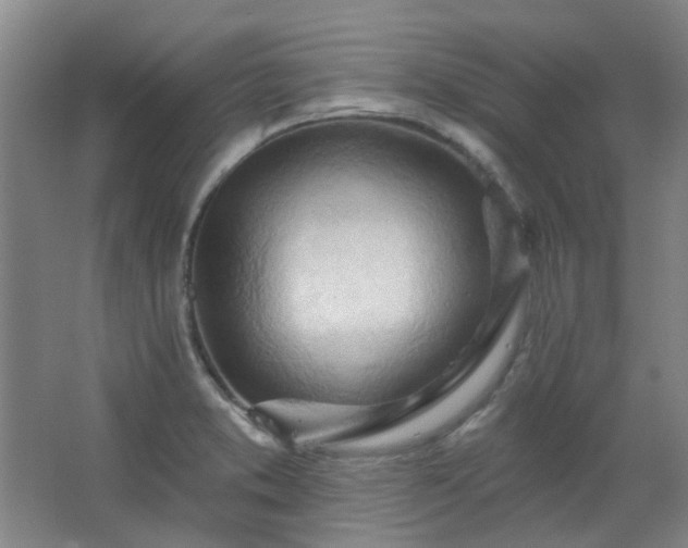 X0000062611373200512281452