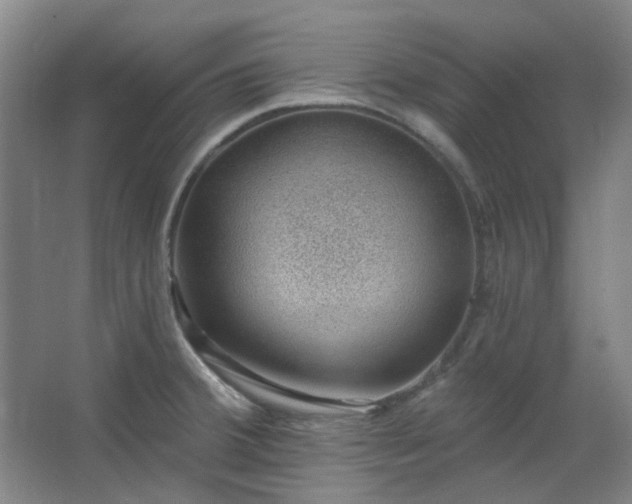 X0000062611380200512281452