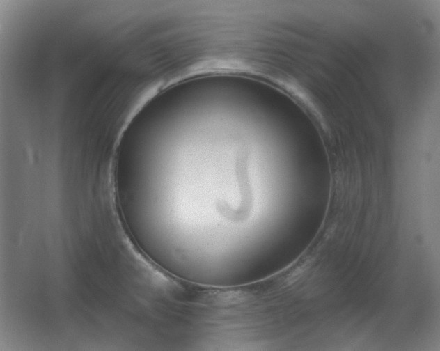 X0000062611382200512281452