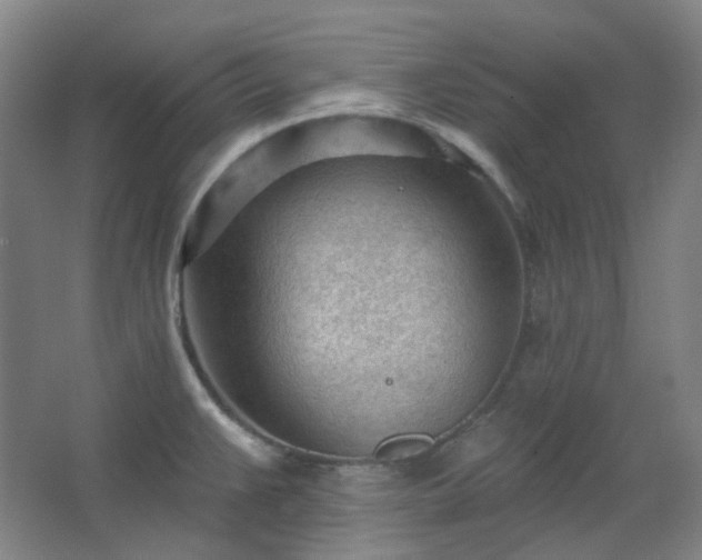 X0000062611383200512281452