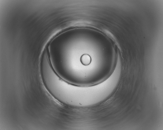 X0000062611384200512281452