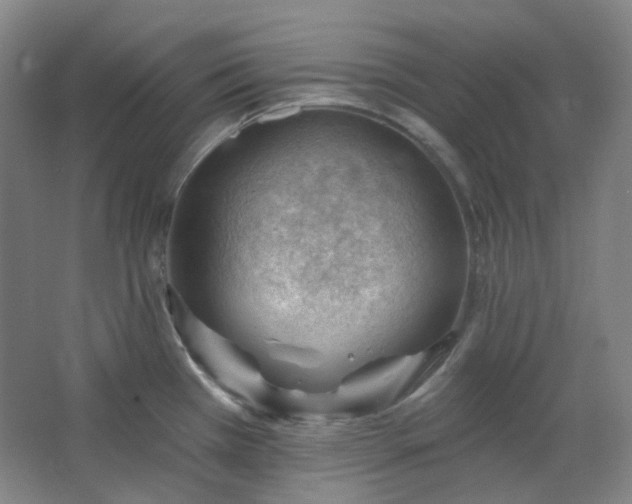 X0000062611385200512281452