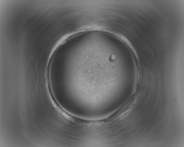 X0000062611389200512281452