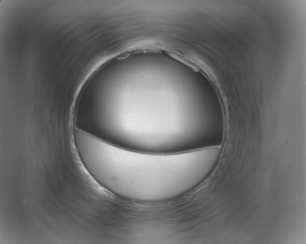 X0000062611392200512281452