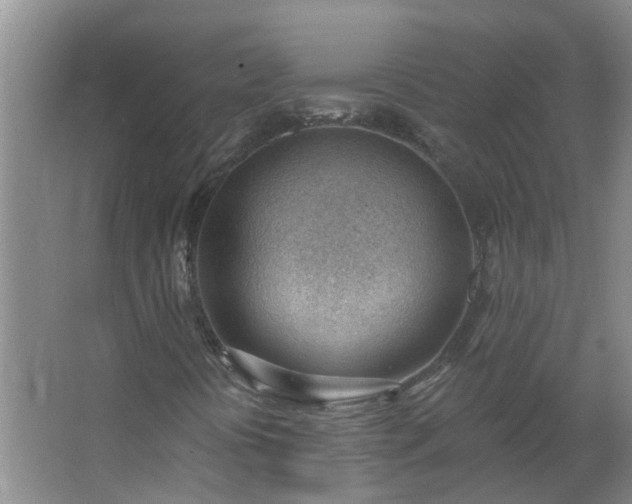 X0000062611394200512281451