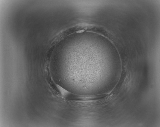 X0000062611397200512281451