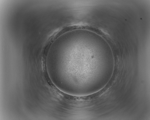 X0000062611398200512281451