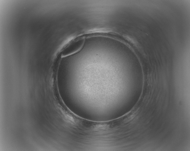 X0000062611406200512281451