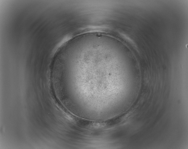 X0000062611411200512281451