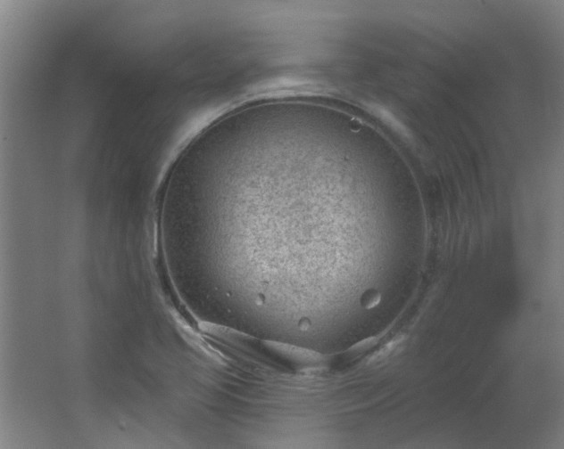 X0000062611413200512281451