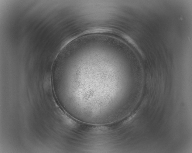 X0000062611417200512281452