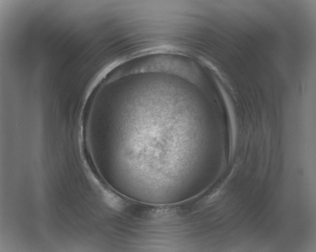 X0000062611418200512281452