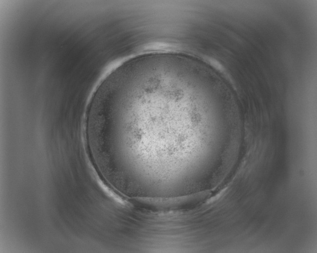 X0000062611421200512281452