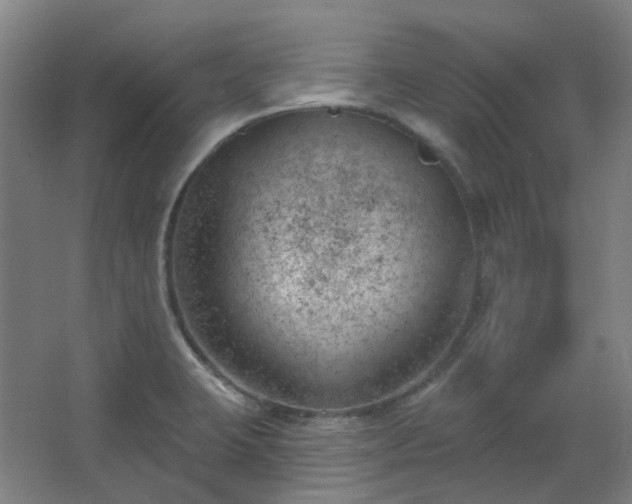 X0000062611423200512281452