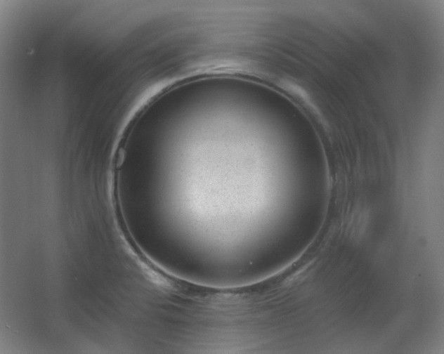 X0000062611424200512281452