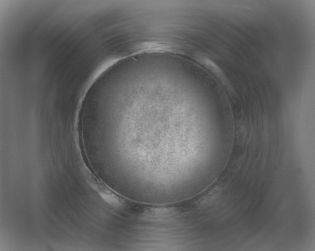 X0000062611427200512281452