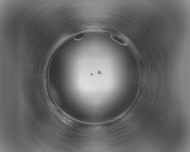 X0000062611435200512281452