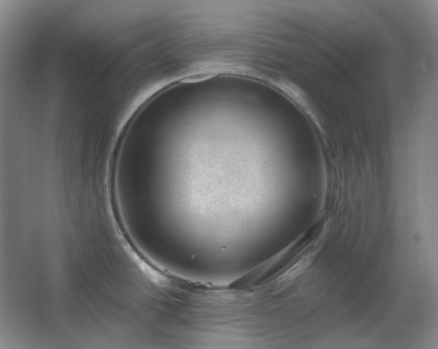 X0000062611438200512281452