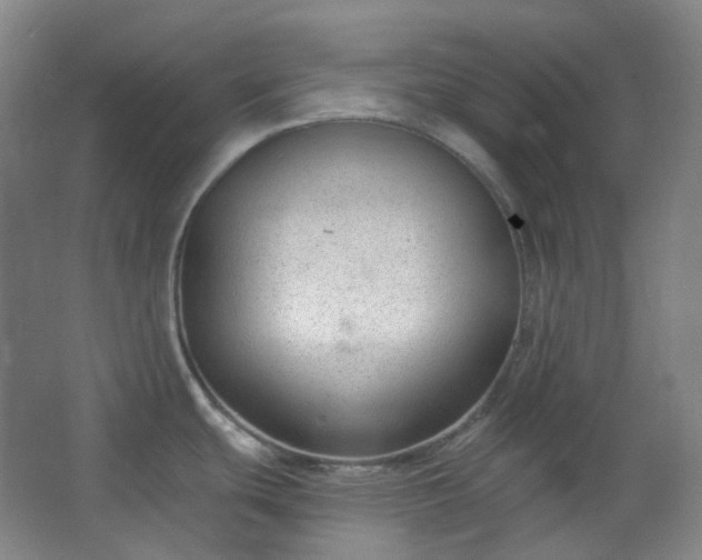 X0000062611439200512281452