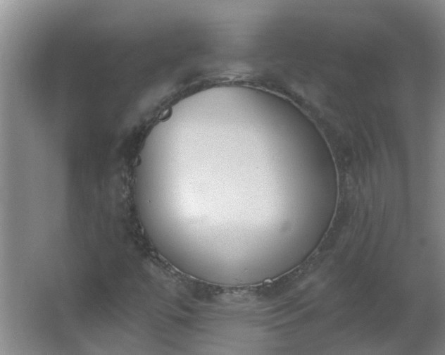 X0000062611447200512281451