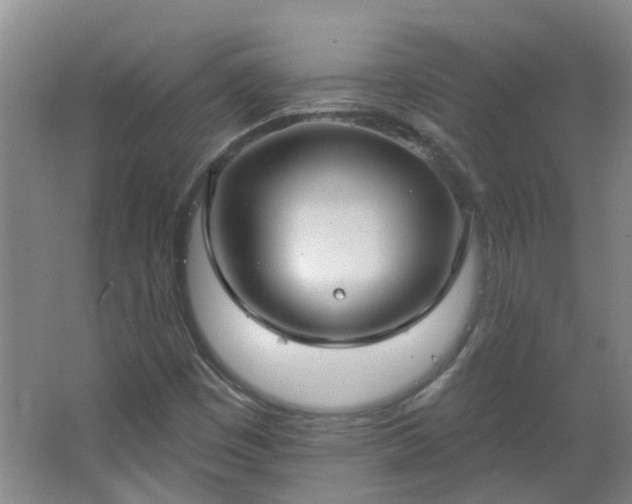 X0000062611449200512281451