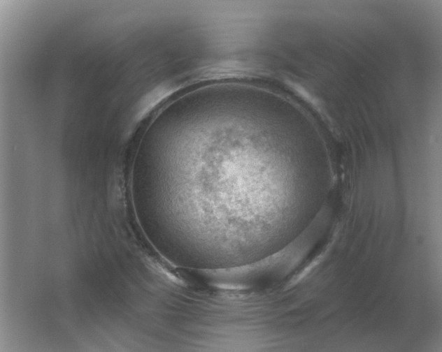 X0000062611453200512281451