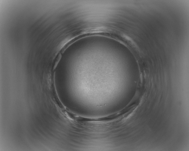 X0000062611457200512281451