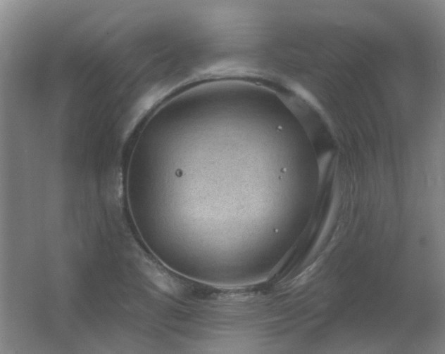 X0000062611461200512281451