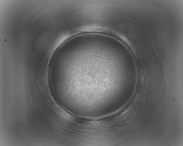 X0000062611463200512281451